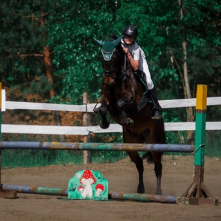 Telegram profile photo for 🐴❤️Sasha_Kronstadt❤️🐴