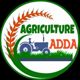 Telegram profile photo for IBPS AFO Agriculture adda (APEDA ,NABARD,ICAR ,RAEO/RHEO,JRF MCAER , BHU, kribhco, plant science, current affair Nemraj sunda