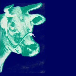 Telegram profile photo for Warhol’s Station