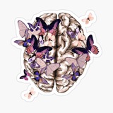 Telegram profile photo for MEDulla