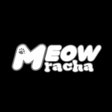 Telegram profile photo for meowracha