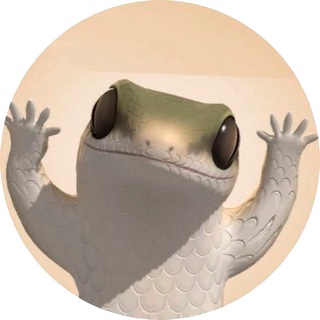 Telegram profile photo for 🦎 Dancing Lizard Portal 🦎