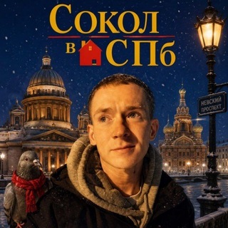 Telegram profile photo for SokolВжизни