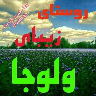 Telegram profile photo for 🌹🌿کانال تلگرام ولوجا🌿🌹