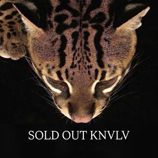 Telegram profile photo for SOLD OUT KNVLV