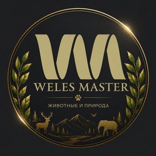 Telegram group profile photo for Чат для общения "WELES MASTER"