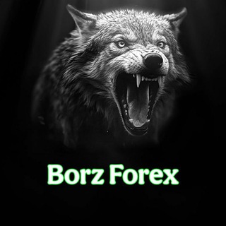 Telegram profile photo for BORZ FOREX