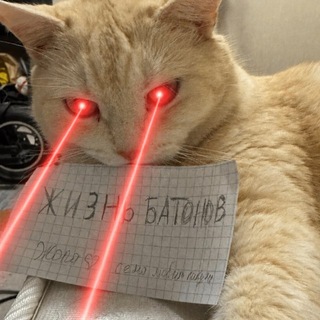 Telegram profile photo for Жизнь батонов
