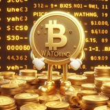 Telegram profile photo for Crypto Currency Live 24/7