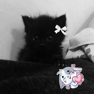 Telegram profile photo for Логово #Axyevshaya° И не очень #Axyevshaya°