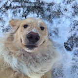 Telegram profile photo for Twoesce Services