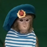 Telegram profile photo for Я честный