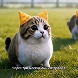 Telegram profile photo for ๐๐๐๐๐'๐ ๐๐๐ผ๐๐