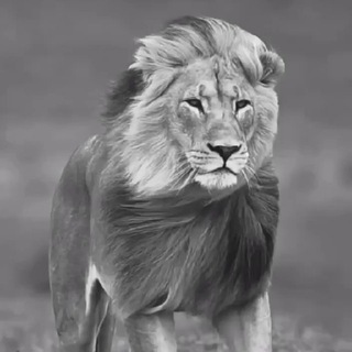Telegram profile photo for GREATAWAKENING