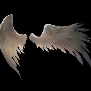 Telegram profile photo for Триумф Universal