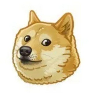 Telegram profile photo for Просто мемы