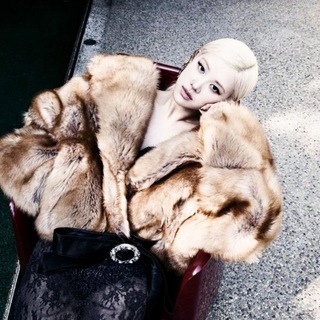 Telegram profile photo for YSL Muse