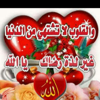 Telegram profile photo for 🌹🌹اجمل الخلفيات الإسلامية 🌹🌹