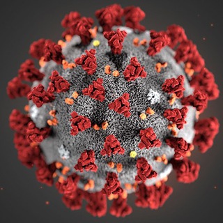 Telegram profile photo for CoronaVirus Italia h24 π· (COVID-19)