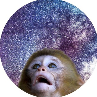 Telegram profile photo for VAYSAME