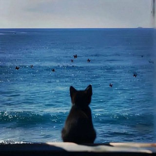 Telegram profile photo for 🌊𝖇𝖑𝖚𝖊 𝖔𝖈𝖊𝖆𝖓🌊