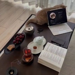 Telegram profile photo for 西安茶园品茗车评群