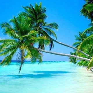 Telegram group profile photo for Фукуок экскурсии 🏝️ туры, гиды