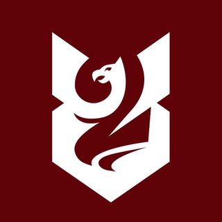 Telegram profile photo for 2 десантно-штурмовий батальйон 95 ОДШБр