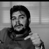 Telegram profile photo for مسلخ.حمزة.بن.عبدالمطلب