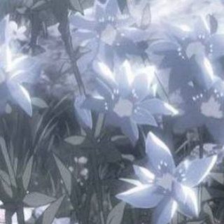 Telegram profile photo for Список ВП
