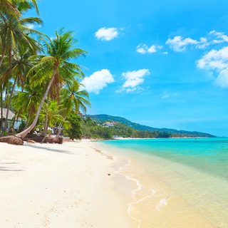 Telegram group profile photo for Мой Самуи 🏝🇹🇭 Взаимопомощь