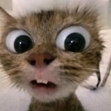 Telegram profile photo for RULE OF LIFE