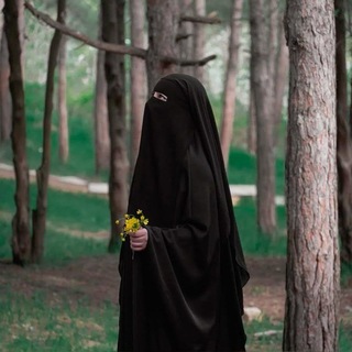 Telegram profile photo for ☫•مکتـوم