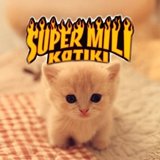 Telegram profile photo for супер мили котики