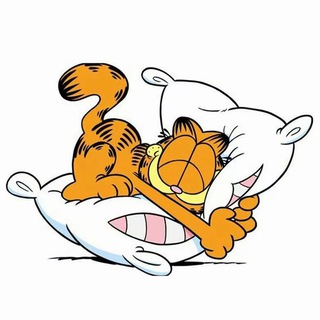 Telegram profile photo for 加菲猫觅食记·成都探花