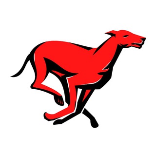 Telegram profile photo for LAY GALGOS