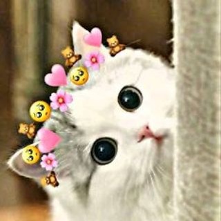Telegram group profile photo for ππ΅ππππ απ α΅πκπ΅π β€οΈ