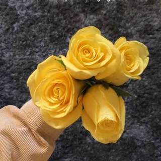 Telegram profile photo for خادمات للتنازل🌻