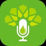 Telegram profile photo for Ta'lim Masjid Ibnu Katsir
