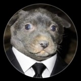 Telegram profile photo for Dante