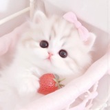 Telegram profile photo for ๐ ๐๐๐ ๐๐๐๐! โก
