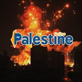 Telegram profile photo for Palestine Online 🇵🇸🇵🇸