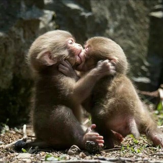 Telegram profile photo for мой любимый
