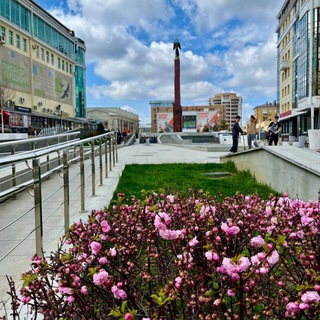 Telegram profile photo for 🌿Хоумстейджинг 🌿Упаковка квартир под сдачу/продажу г.Ставрополь🏠🏙️