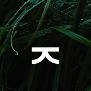 Telegram profile photo for Котик, выдохни!