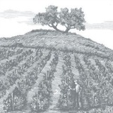 Telegram profile photo for Tempelhof _winery