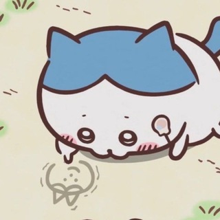 Telegram profile photo for фкбсеу