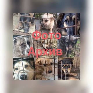 Telegram profile photo for ФотоАрхивАристократ