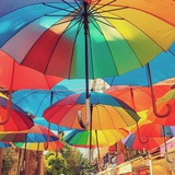 Telegram profile photo for رموز تجارت