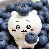 Telegram profile photo for ♪ | LOLO